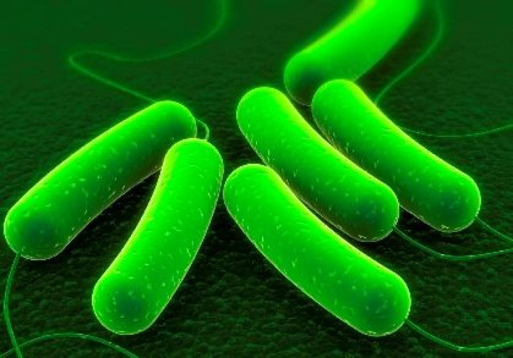 Catalyst Combo Kills Bad Bacteria, Leaving Good