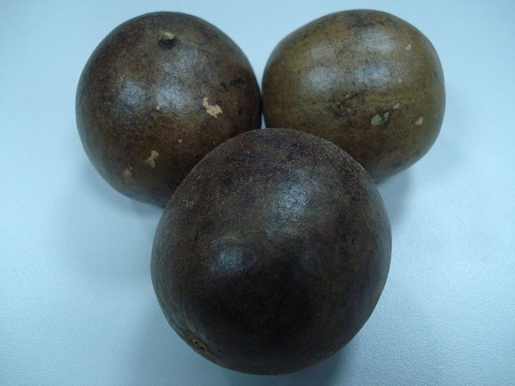 Monk Fruit