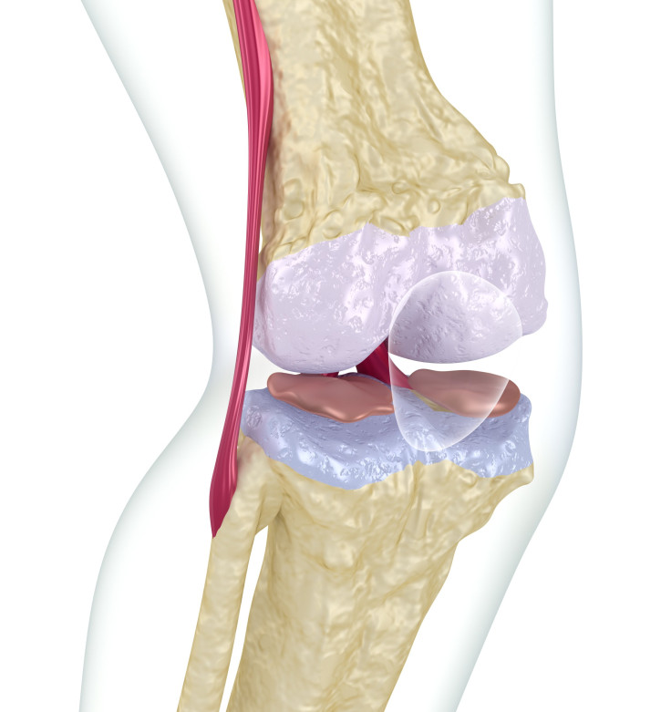 shutterstock image of knee
