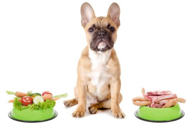 Dog with choice of meat or vegetable bowl