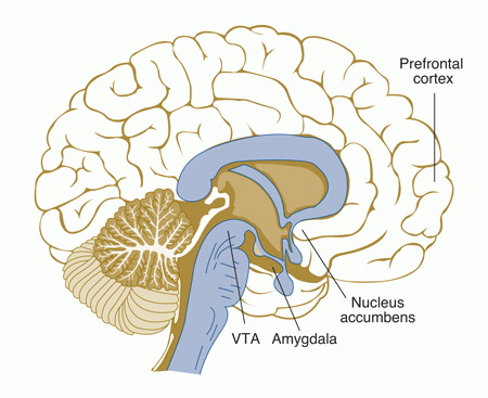 Scientists Find Long-Range Effects From Antidepressant Meds