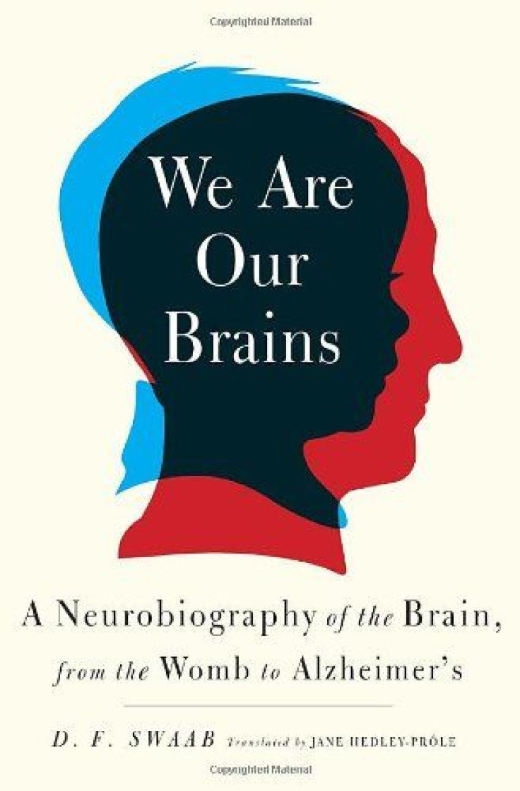 we are our brains
