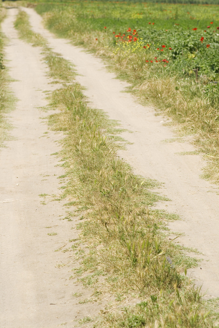 shutterstock image of dirt road