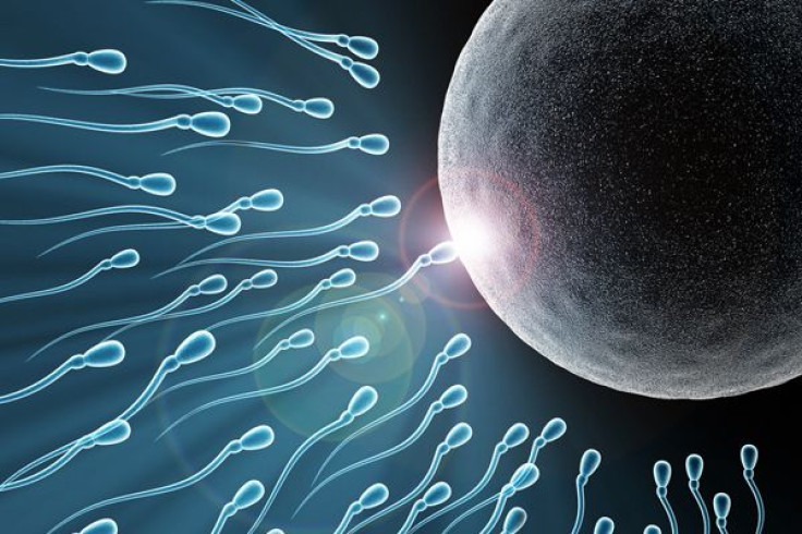 Sperm