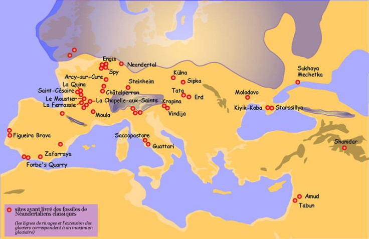 Modern Humans Interbreed With Neanderthals In Eurasia Long Ago