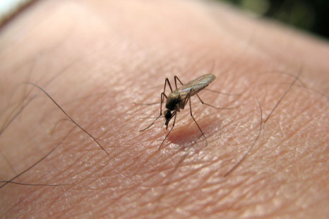 West Nile virus cost the United States almost $800 million over 14 years.