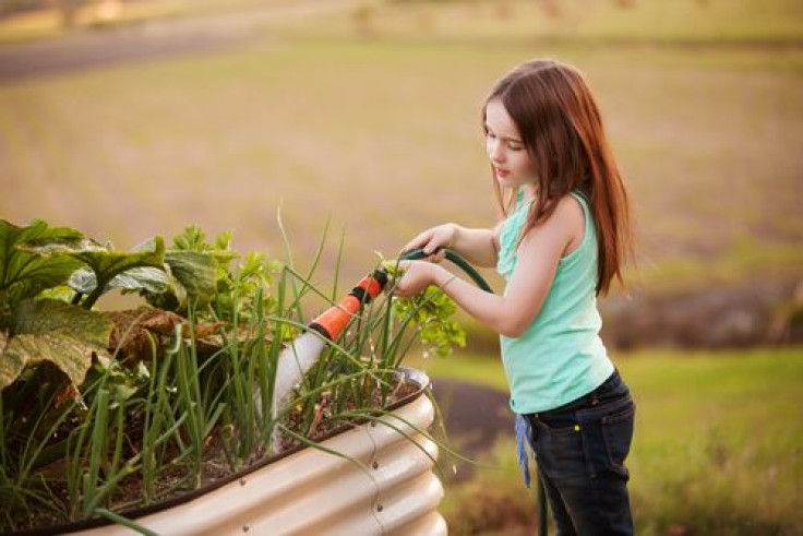 Little girl watering vegetable garden with hose