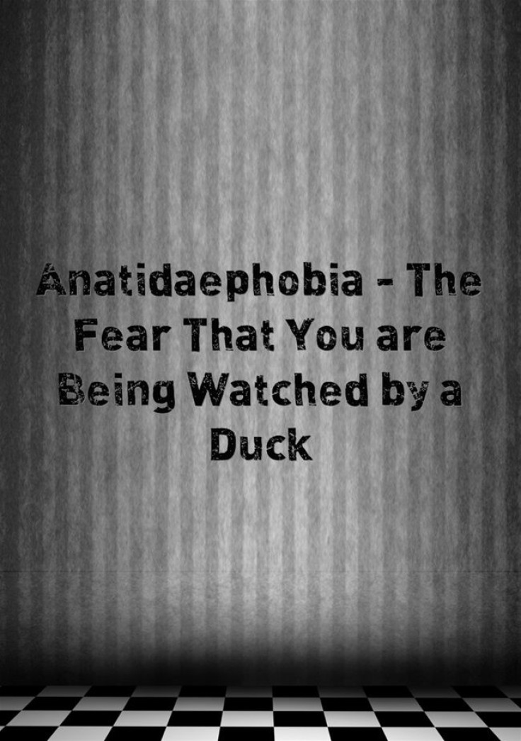 Anatidaephobia