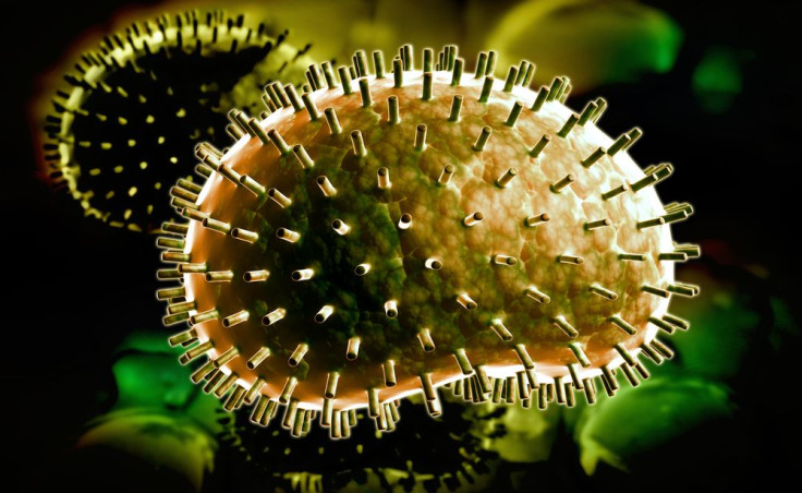 virus