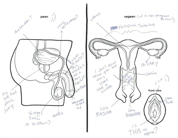 m,f anatomy 1