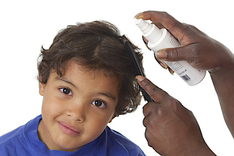 Resistant lice develop after they survive one round of treatment, then adapt to become stronger, and spread from scalp to scalp.