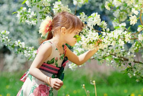 shutterstock_140804185