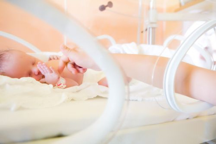 Premature baby in maternity ward