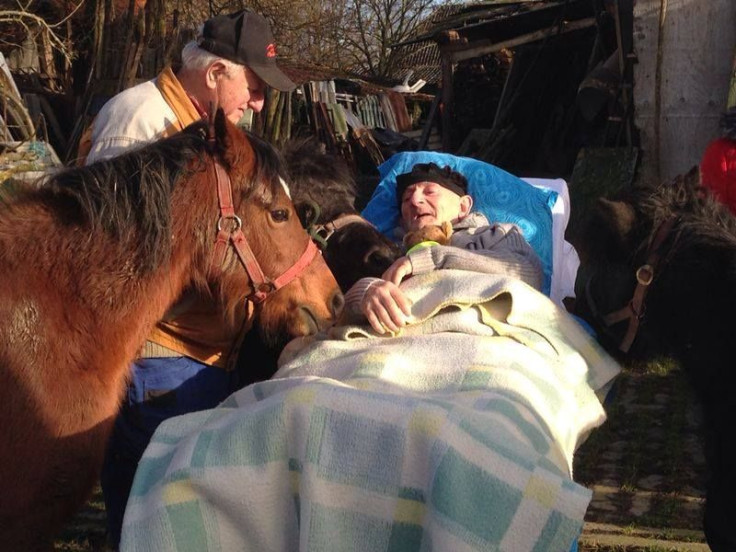 Terminally-ill man gets to say goodbye to ponies back in his farm