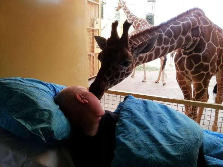 Giraffe kisses dying zookeeper with cancer to fulfill dying wish