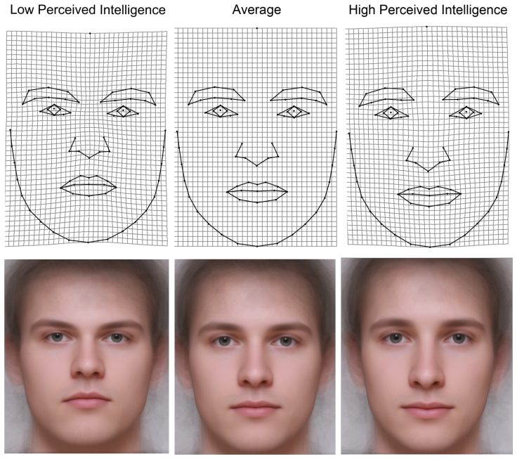 Men's facial features predict IQ