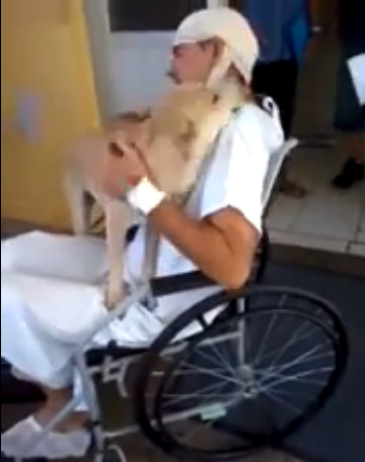 Dog reunites with sick owner after eight days of waiting outside hospital