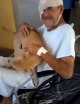Dog reunites with sick owner after waiting eight days outside hospital