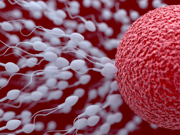 New Male Fertility Test Allows Greater Convenience