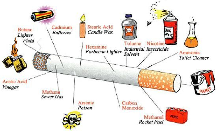 Cigarette Ingredients