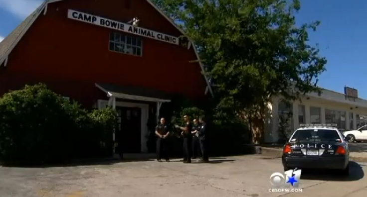 Camp Bowie Animal Clinic where Sid was caged for six months