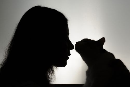 shutterstock_159430097
