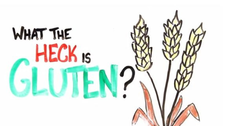 What Is Gluten