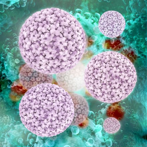 HPV Infection Common Among 70% Of Americans, But Only 4% Had Strains ...