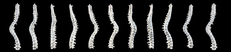 Richard III Spine