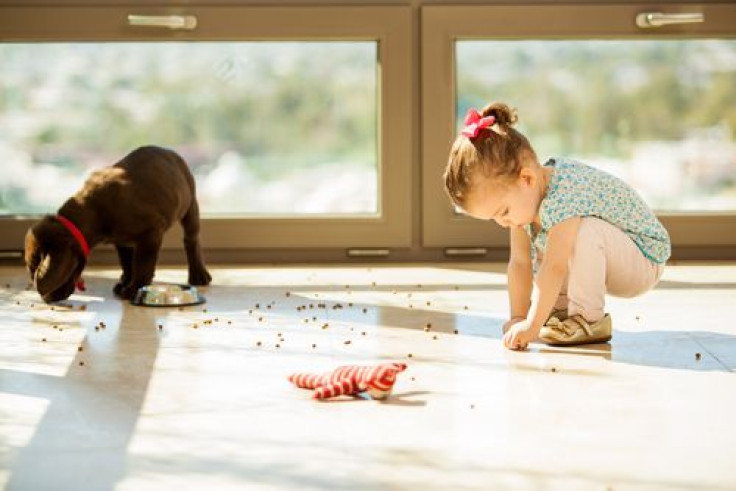  Puppy making a mess with his food while a little girl helps him pick it up