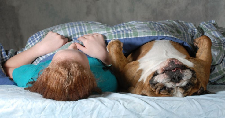 Sleeping With Your Pet Could Cause You Health Problems