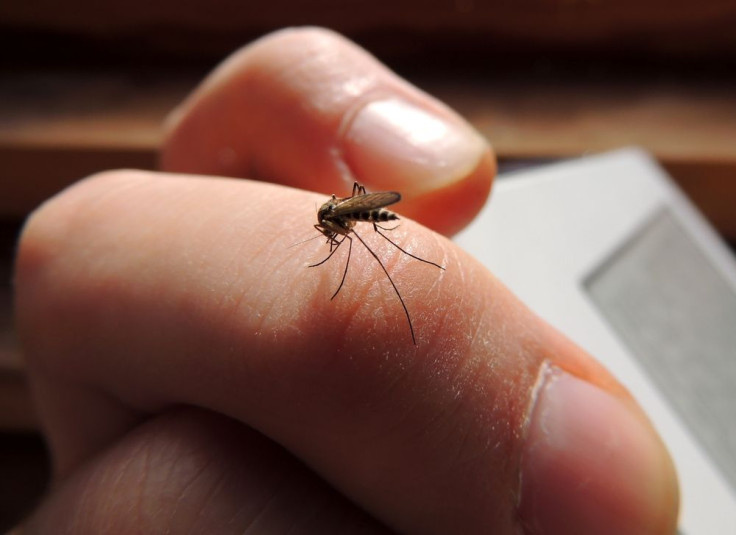 Malaria-Transmitting Mosquitos