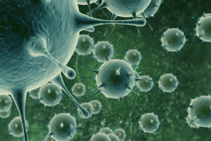virus