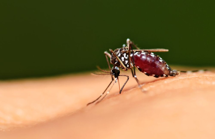 Chikungunya