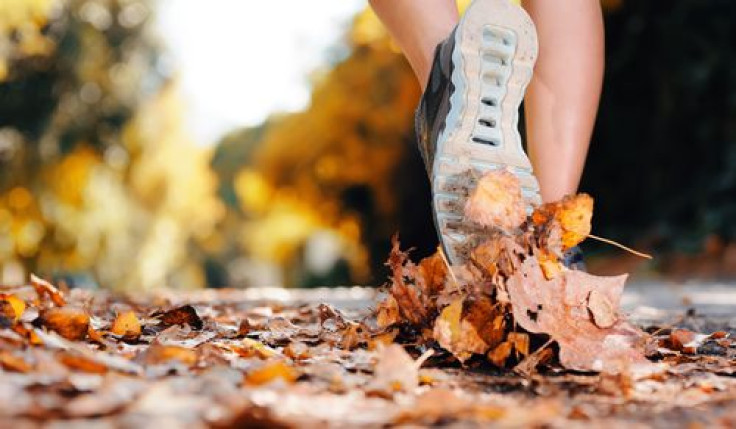 Runner running in autumn leaves 