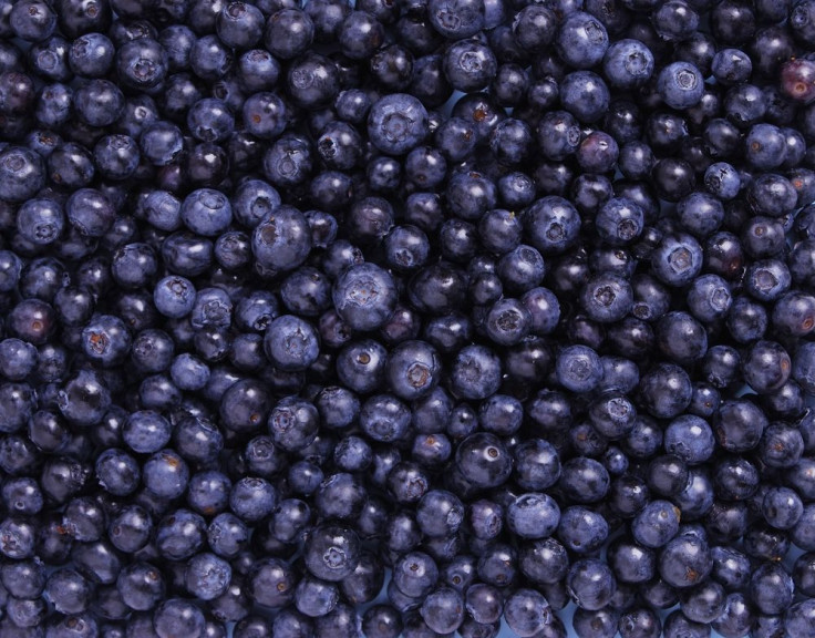 Researchers Develop Blueberry Powder To Effectively Study Its Benefits