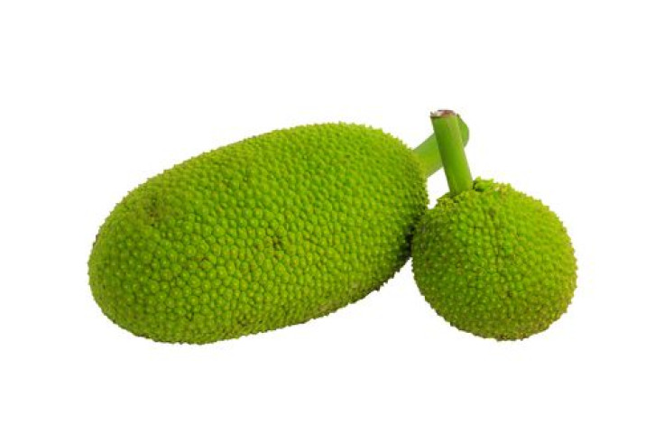 Two breadfruit in on white background