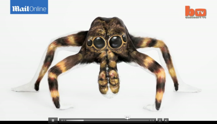human tarantula