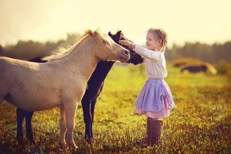 Growing up with livestock exposes us to microorganisms and improves the body’s immune defenses.