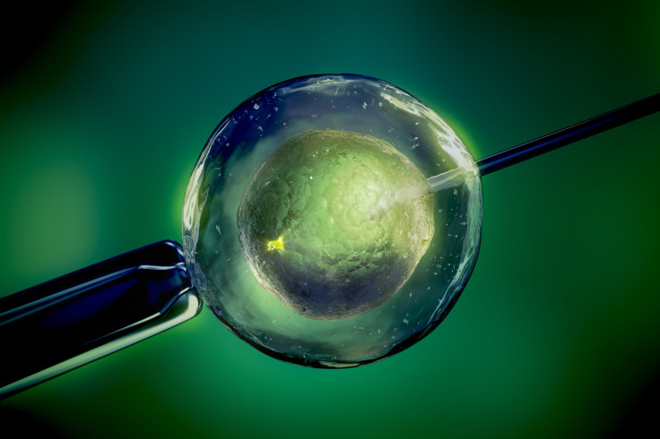 IVF Treatment Made Safer With Natural Hormone 'Kisspeptin'