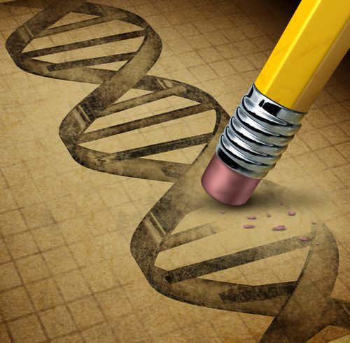 Autism Gene