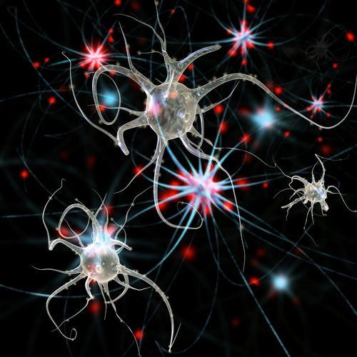 shutterstock_200837546