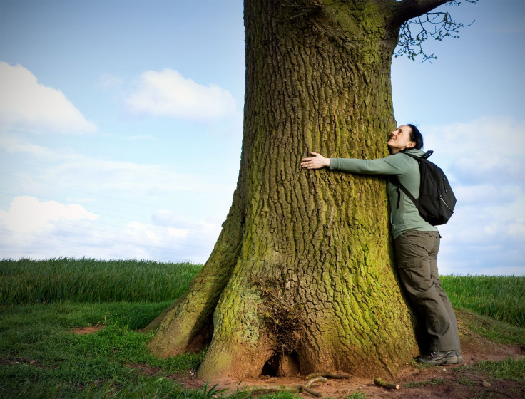 hugging trees