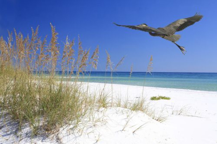 Florida beach