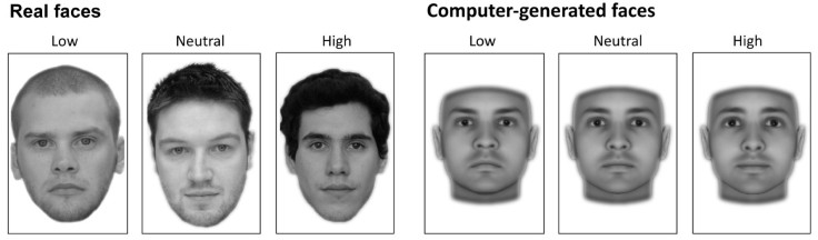 Faces, ranging from low to high trustworthiness, Courtesy of Journal of Neuroscience