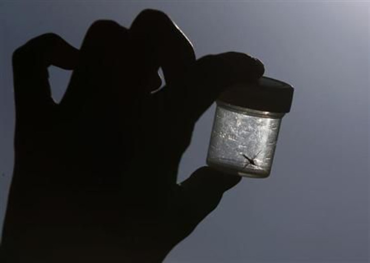 West Nile Virus