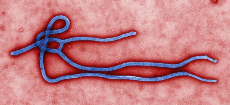 Ebola virus