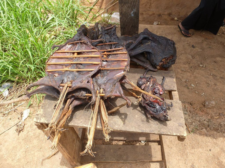 Bushmeat in Ghana