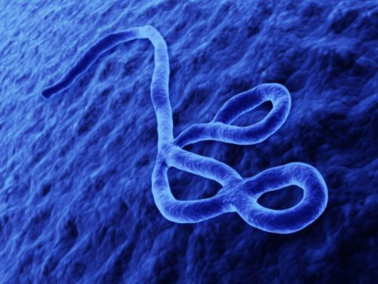 Ebola Virus