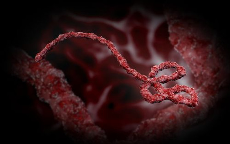 3D Ebola Virus